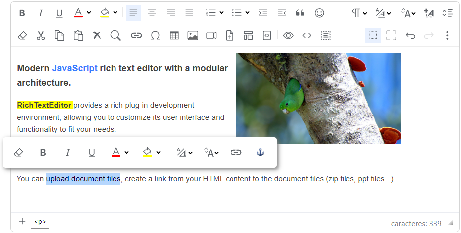 Rich Text Editor interface